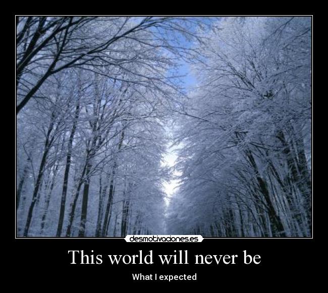 This world will never be - What I expected