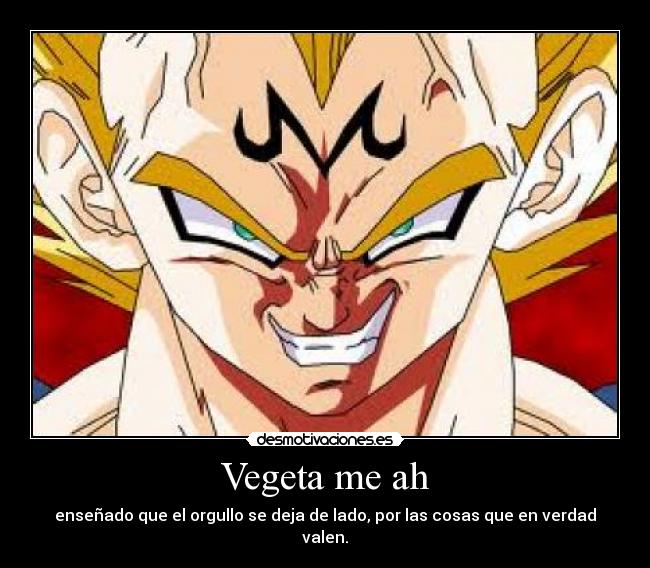 Vegeta me ah - enseñado que el orgullo se deja de lado, por las cosas que en verdad valen.