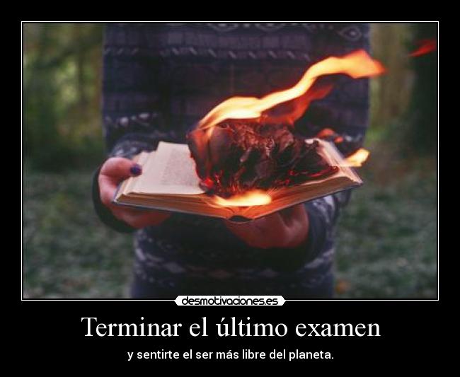 carteles gggggg desmotivaciones