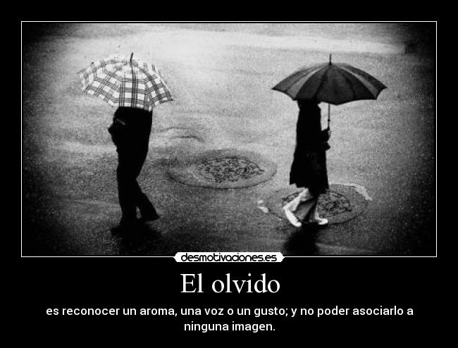 El Olvido
