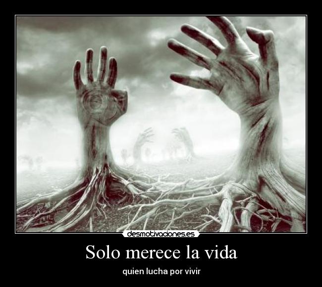 carteles vida merecer vida luchar vivir por quien ely desmotivaciones
