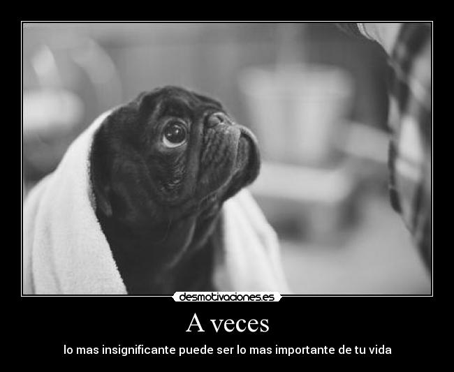 A veces - lo mas insignificante puede ser lo mas importante de tu vida