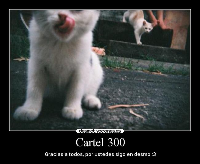 Cartel 300 - 