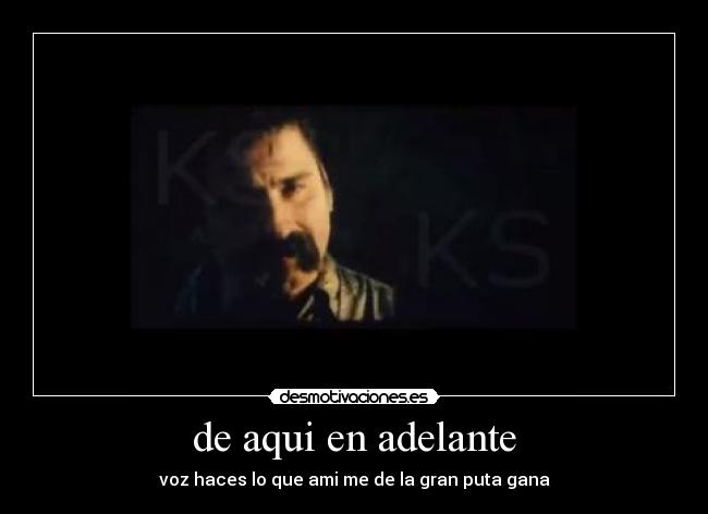 de aqui en adelante - voz haces lo que ami me de la gran puta gana