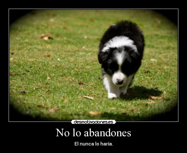 No lo abandones - 