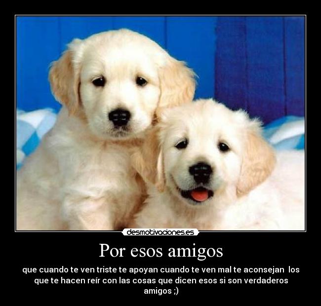 Por esos amigos - que cuando te ven triste te apoyan cuando te ven mal te aconsejan  los
que te hacen reír con las cosas que dicen esos si son verdaderos
amigos ;)