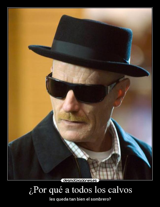 ¿Por qué a todos los calvos - les queda tan bien el sombrero?