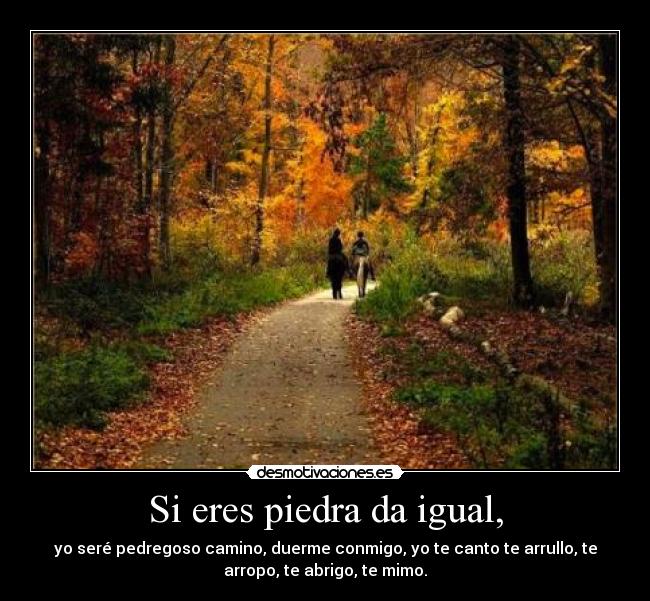 Si eres piedra da igual, - yo seré pedregoso camino, duerme conmigo, yo te canto te arrullo, te
arropo, te abrigo, te mimo.