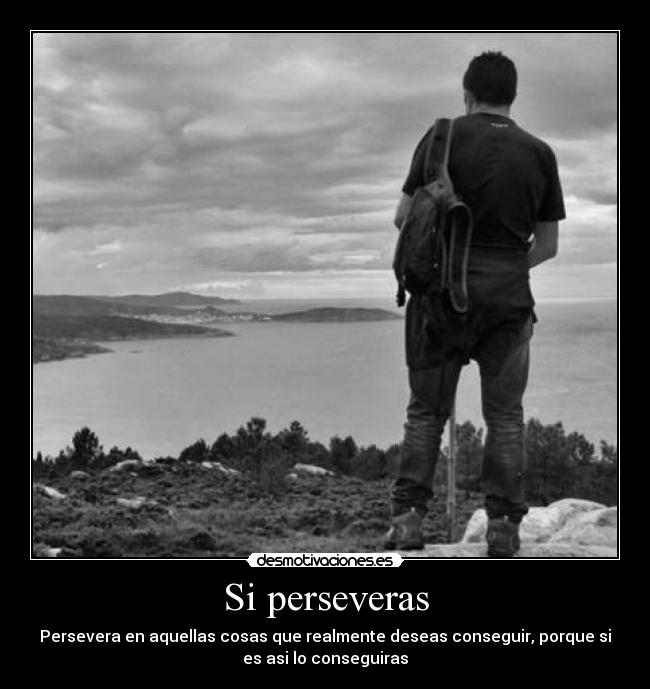 Si perseveras - 