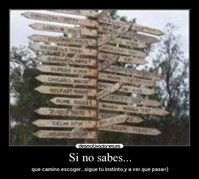 Si no sabes... - 