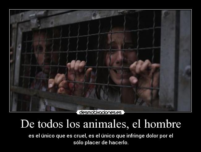 De todos los animales, el hombre - es el único que es cruel, es el único que infringe dolor por el sólo placer de hacerlo.