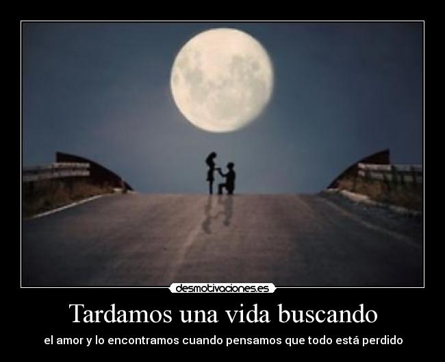 Tardamos una vida buscando - 