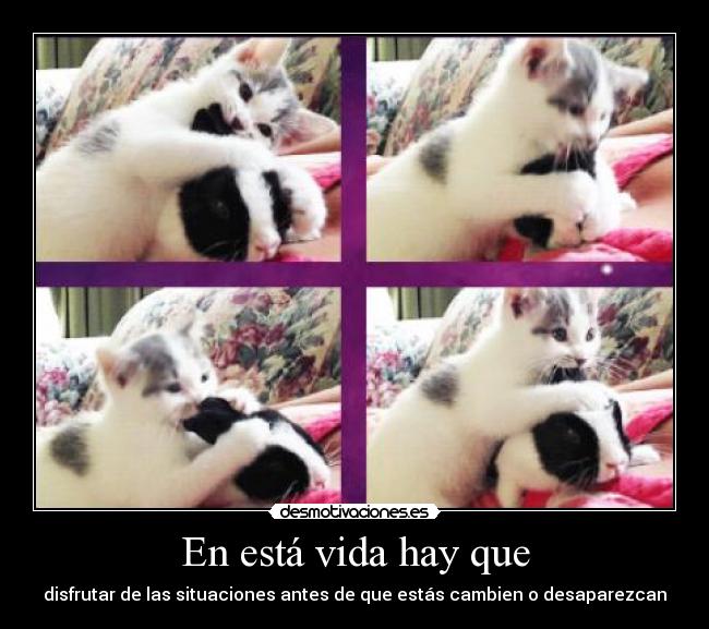 En está vida hay que -