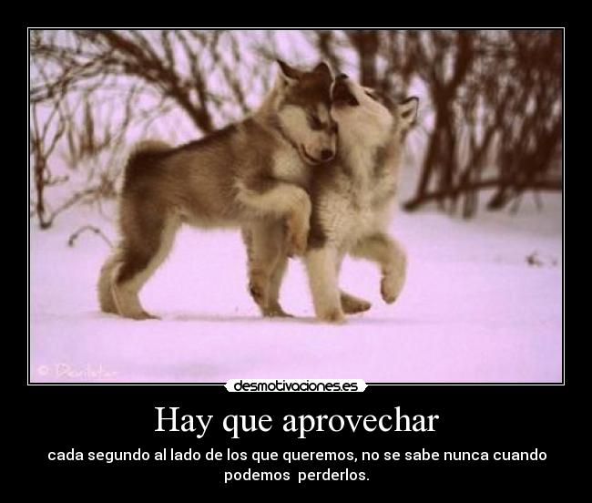 Hay que aprovechar - cada segundo al lado de los que queremos, no se sabe nunca cuando
podemos perderlos.