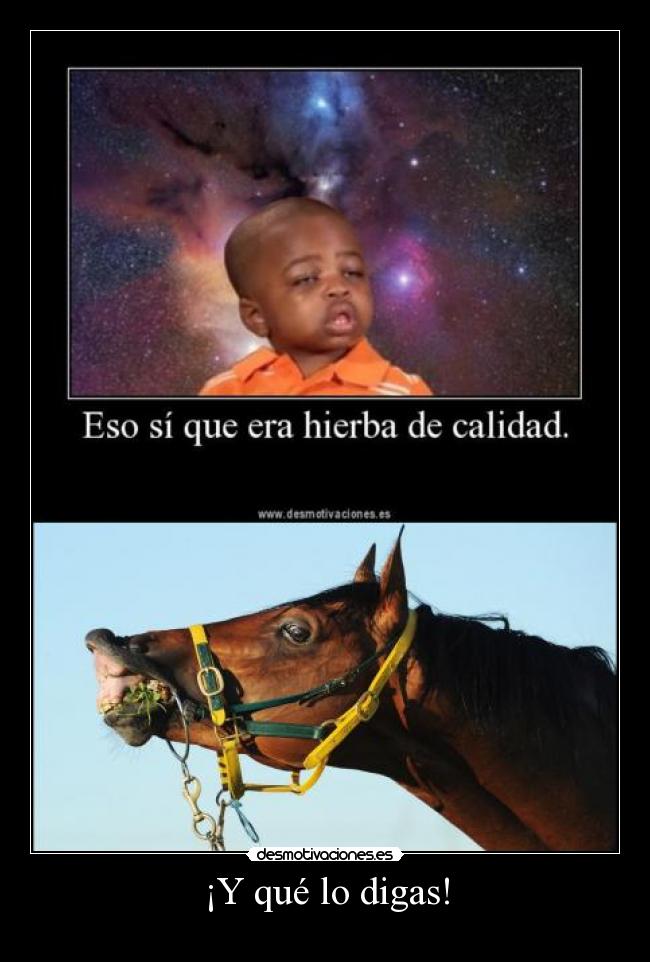 carteles cartel paso durante desbaneo baneo drojas desmotivaciones