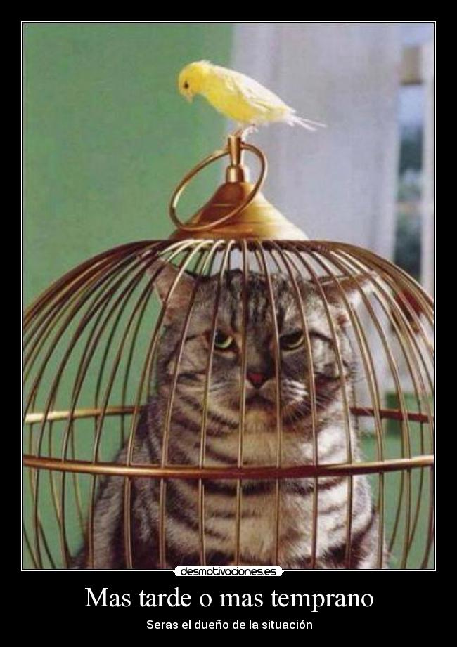 Mas tarde o mas temprano -