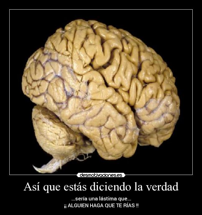 Así que estás diciendo la verdad - 