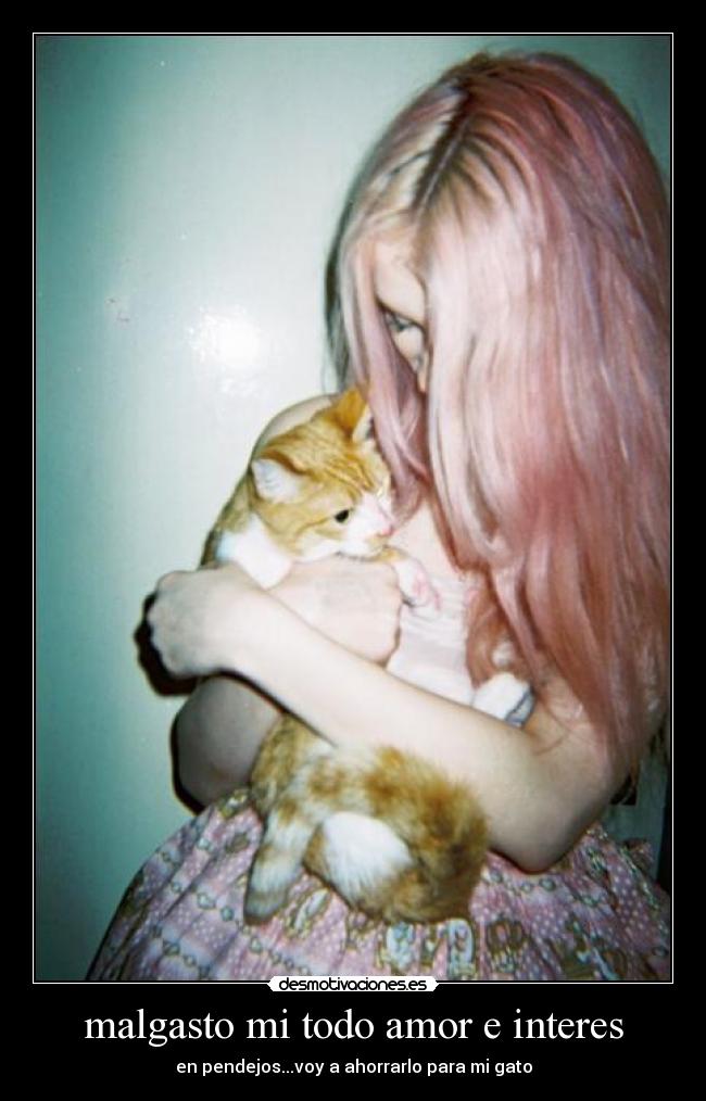 malgasto mi todo amor e interes - 