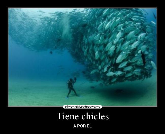 Tiene chicles -