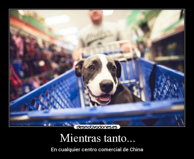 Mientras tanto... - En cualquier centro comercial de China