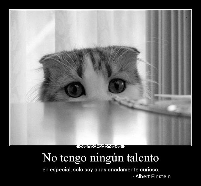 No tengo ningún talento - en especial, solo soy apasionadamente curioso.
                                                                                  - Albert Einstein