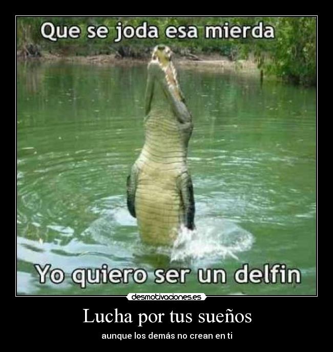 Lucha por tus sueños -