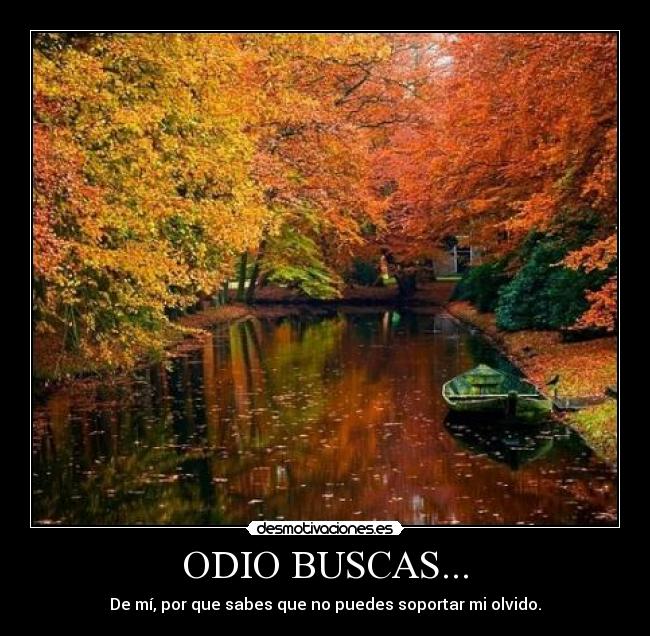 carteles odio odio desamor olvido pasado amor roto corazon herida desmotivaciones