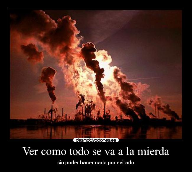 Ver como todo se va a la mierda - 