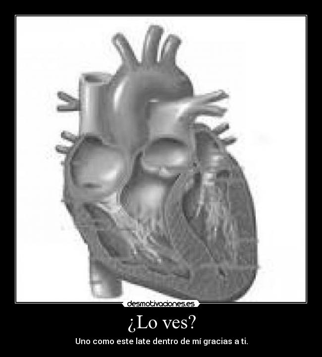 ¿Lo ves? - Uno como este late dentro de mí gracias a ti.