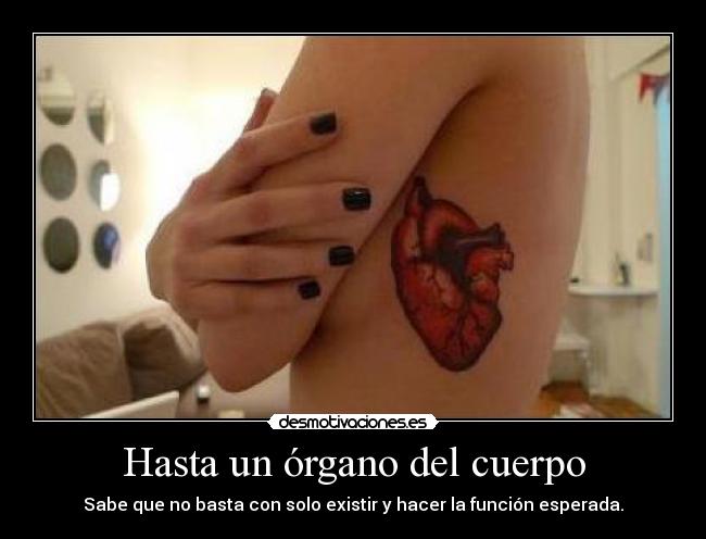Hasta un órgano del cuerpo - Sabe que no basta con solo existir y hacer la función esperada.