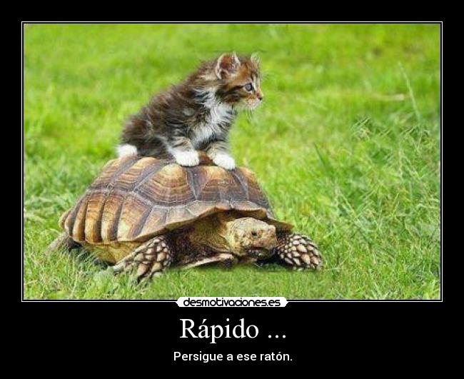 Rápido ... - 