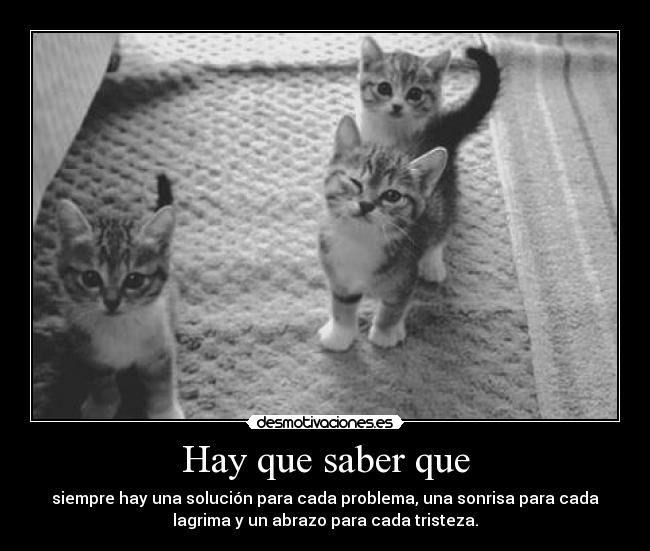 Hay que saber que - siempre hay una solución para cada problema, una sonrisa para cada
lagrima y un abrazo para cada tristeza.