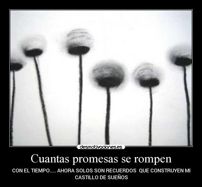 Cuantas promesas se rompen - CON EL TIEMPO..... AHORA SOLOS SON RECUERDOS  QUE CONSTRUYEN MI
CASTILLO DE SUEÑOS