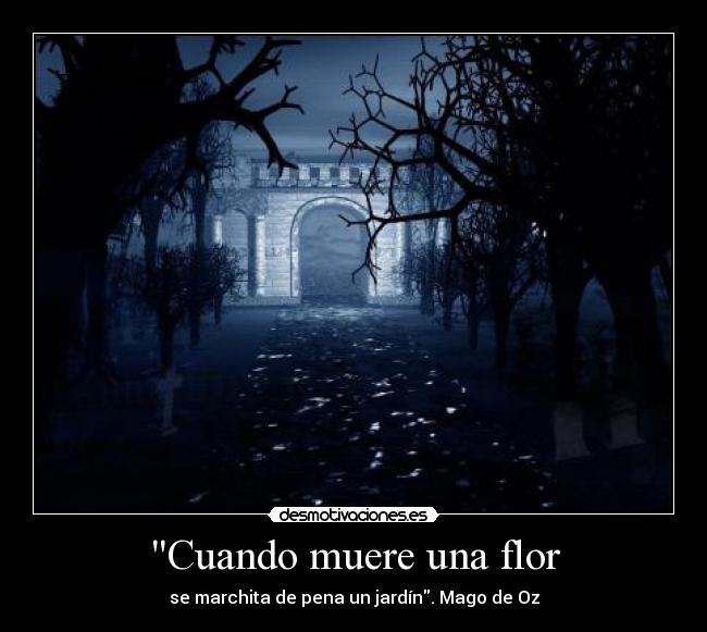 Cuando muere una flor - se marchita de pena un jardín. Mago de Oz