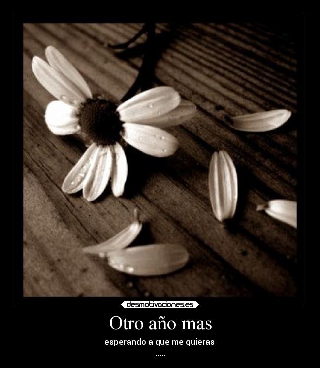 Otro año mas -