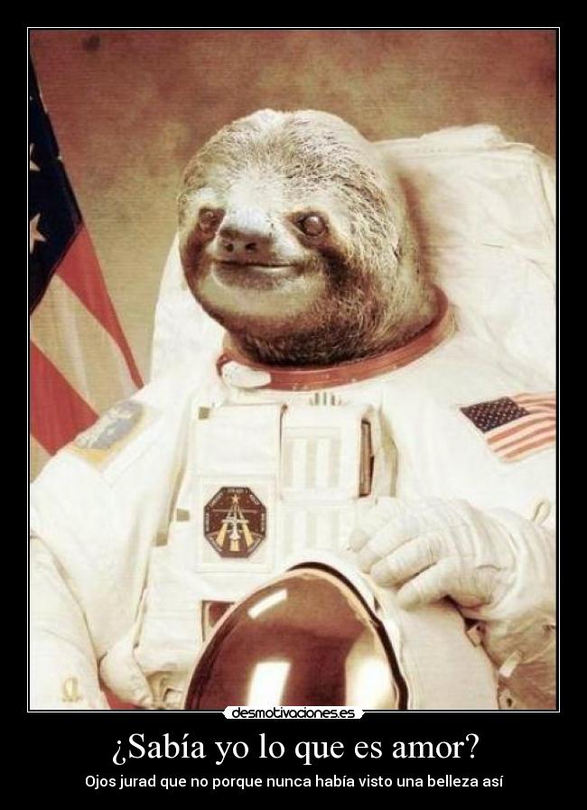 ¿Sabía yo lo que es amor? - Ojos jurad que no porque nunca había visto una belleza así