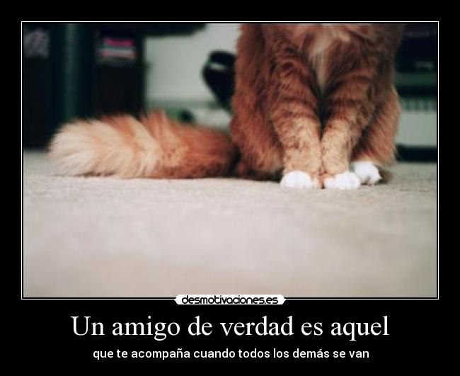 carteles idea mas vista que tato repetidisima desmotivaciones