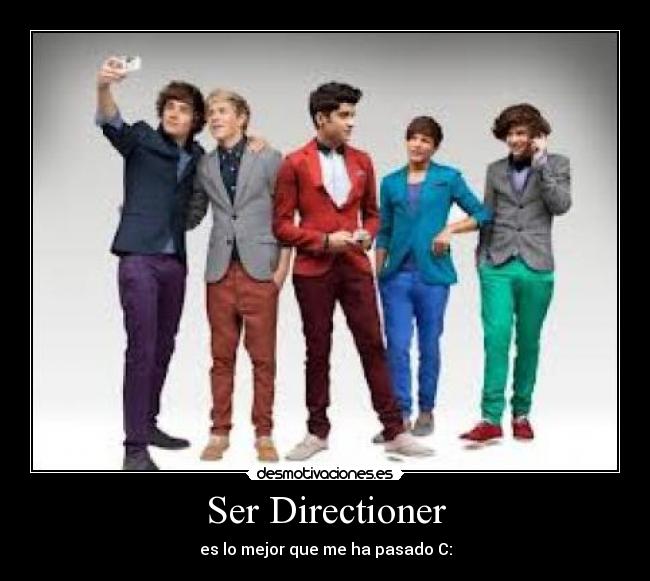 carteles directioner desmotivaciones