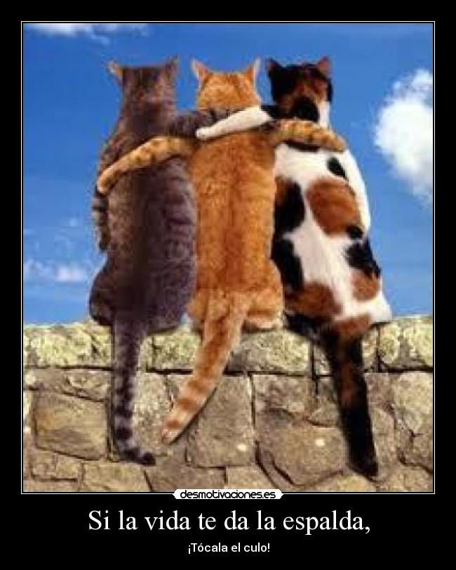 Si la vida te da la espalda, -