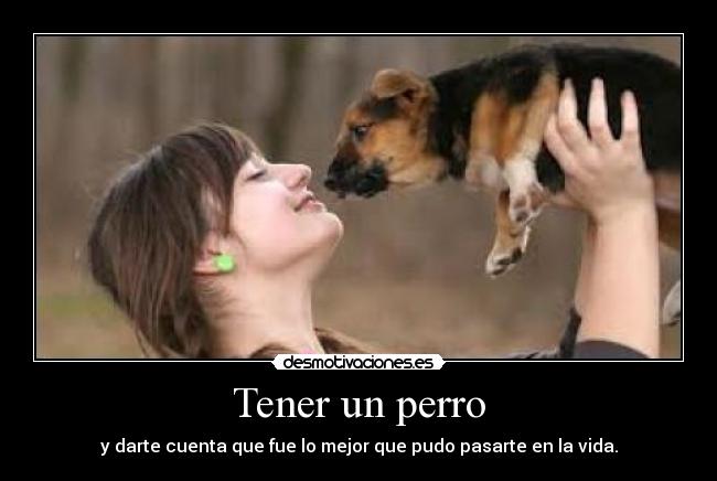 Tener un perro - y darte cuenta que fue lo mejor que pudo pasarte en la vida.