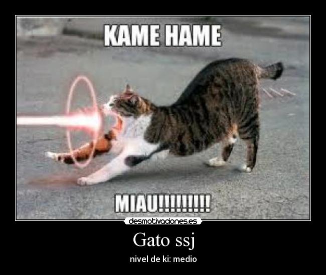 Gato ssj - nivel de ki: medio