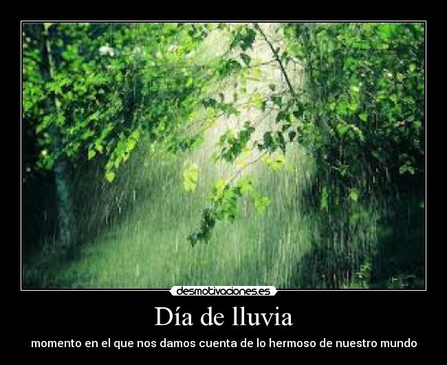 Día de lluvia - momento en el que nos damos cuenta de lo hermoso de nuestro mundo