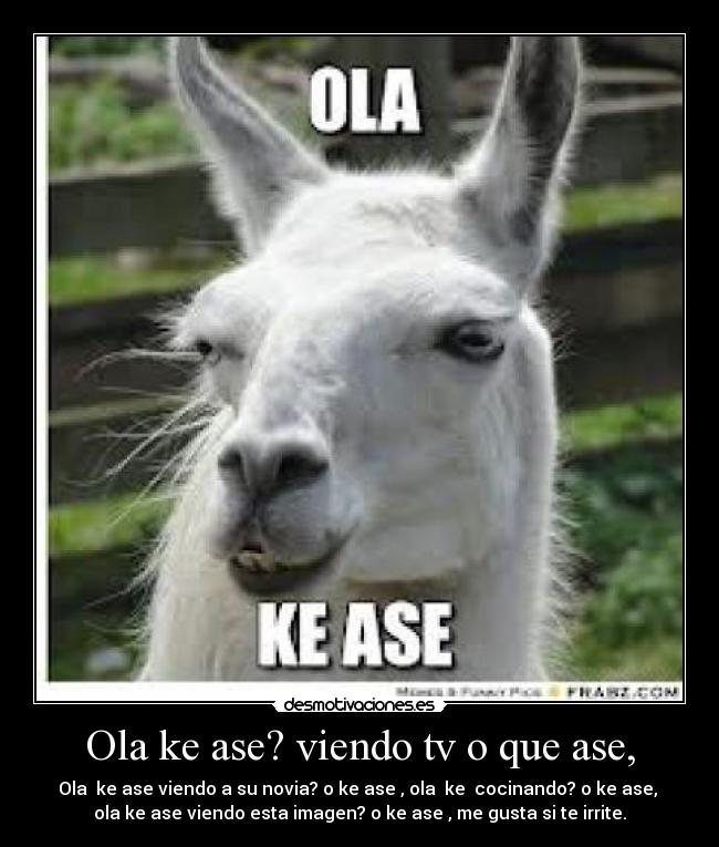 Ola ke ase? viendo tv o que ase, - Ola  ke ase viendo a su novia? o ke ase , ola  ke  cocinando? o ke ase, 
ola ke ase viendo esta imagen? o ke ase , me gusta si te irrite.