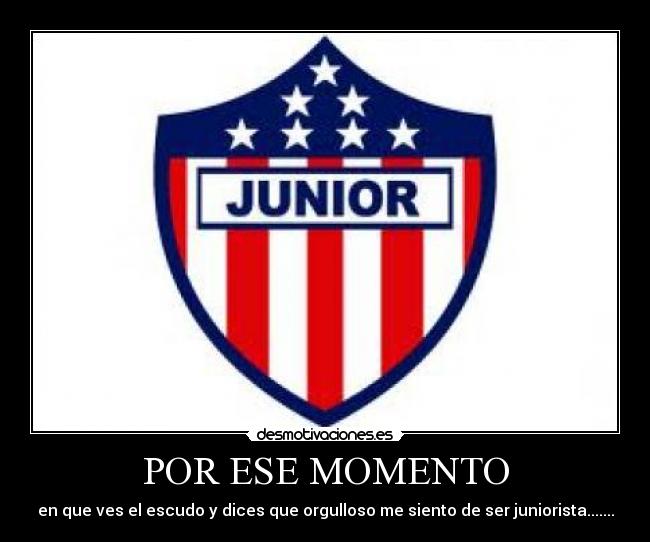 POR ESE MOMENTO - en que ves el escudo y dices que orgulloso me siento de ser juniorista.......