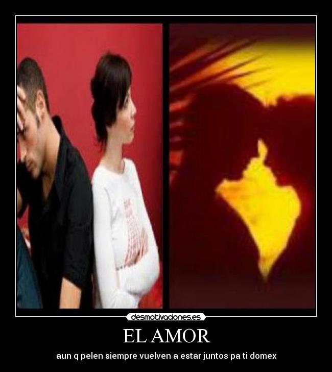 carteles amor domex zambrano desmotivaciones