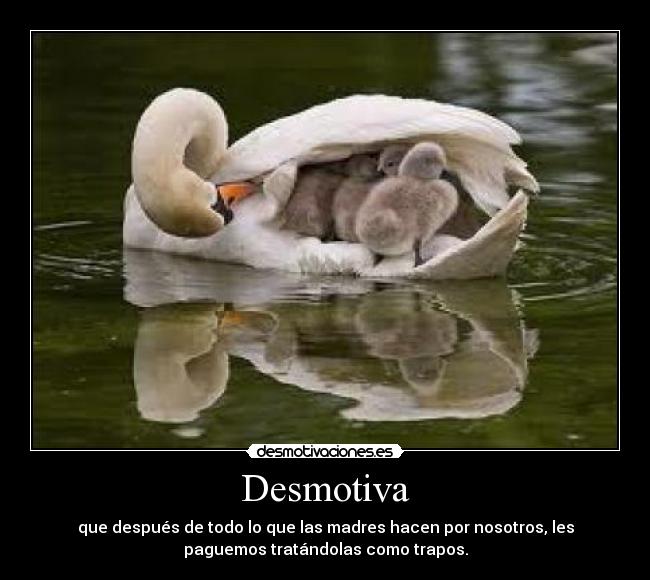 Desmotiva - que después de todo lo que las madres hacen por nosotros, les
paguemos tratándolas como trapos.
