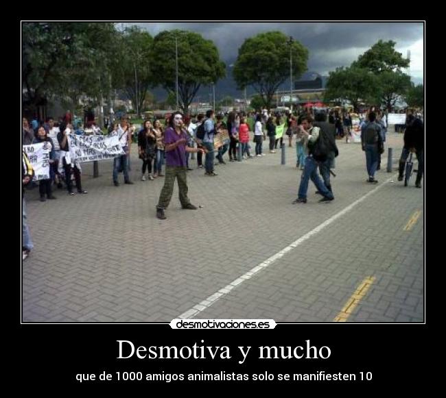 carteles animalistas animales bogota colombia hermanos gasca desmotivaciones