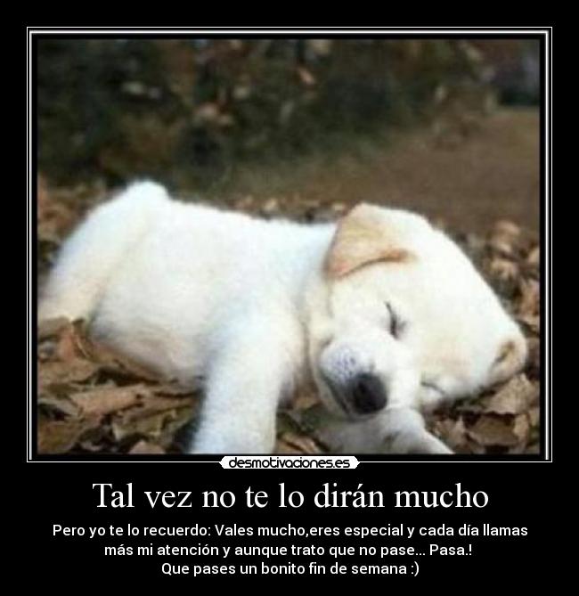 Tal vez no te lo dirán mucho - Pero yo te lo recuerdo: Vales mucho,eres especial y cada día llamas
más mi atención y aunque trato que no pase... Pasa.! 
Que pases un bonito fin de semana :)