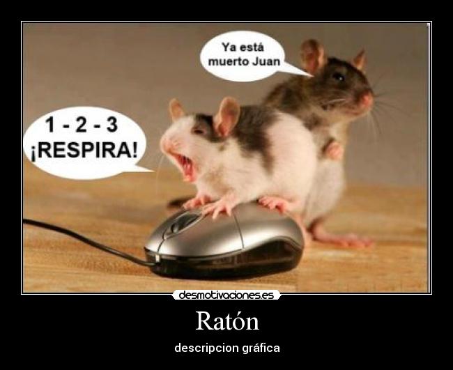 Ratón - descripcion gráfica
