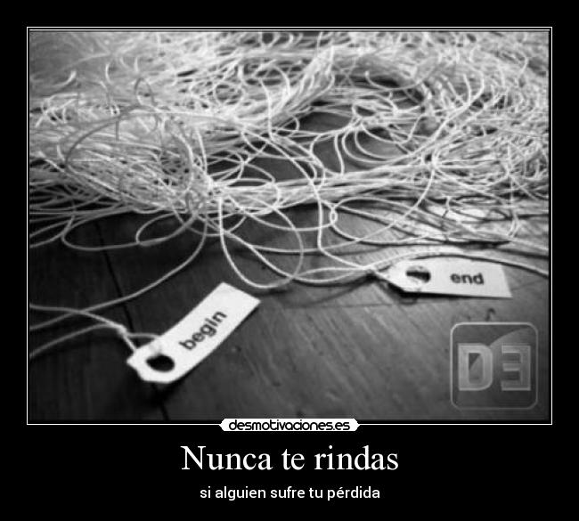 Nunca te rindas - si alguien sufre tu pérdida